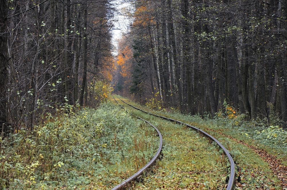 Дорога в сказку