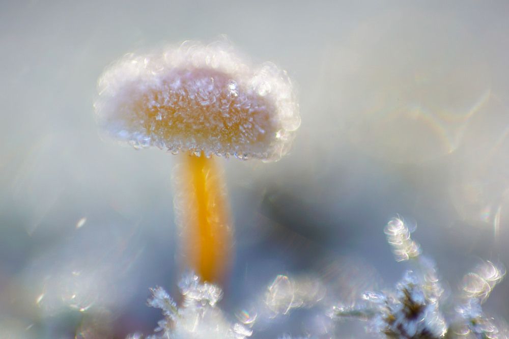 Photograph by Виктор Квасов