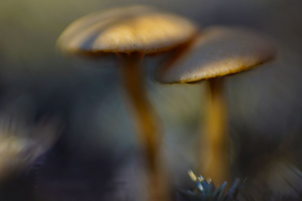 Photograph by Виктор Квасов