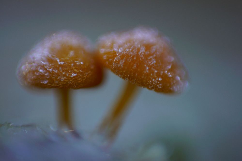 Photograph by Виктор Квасов