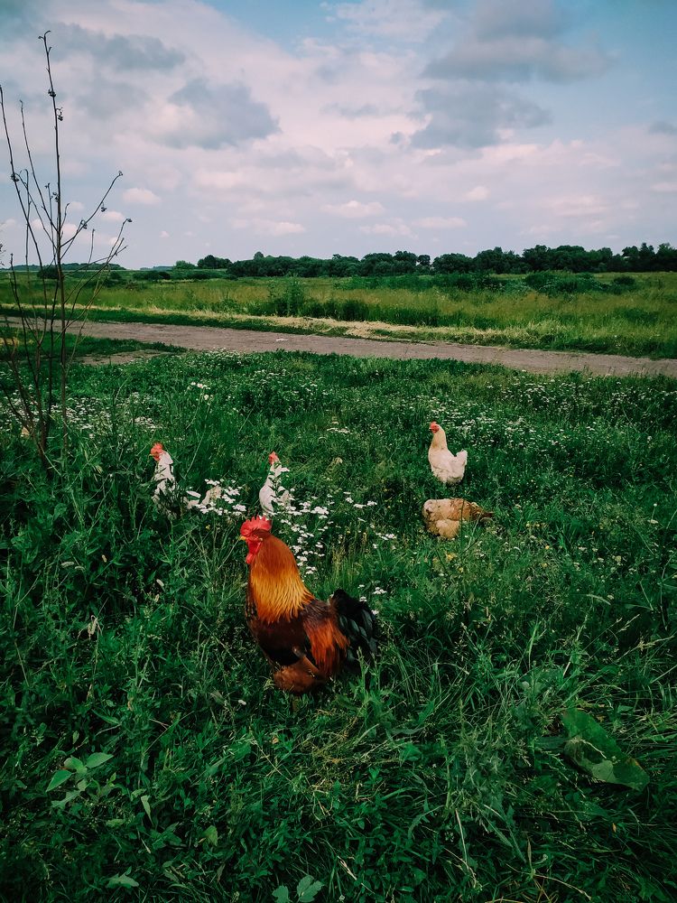Photograph by Ева Семенникова