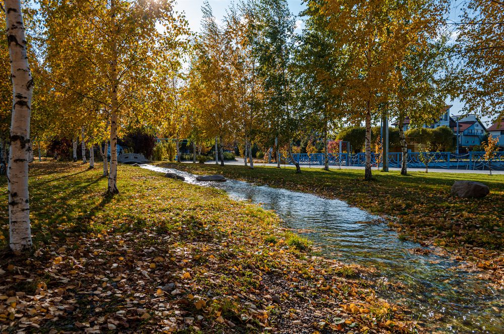 Photograph by Денис Кичев