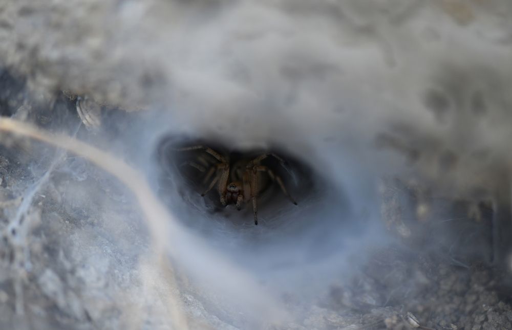 Photograph by Элена Баласанян