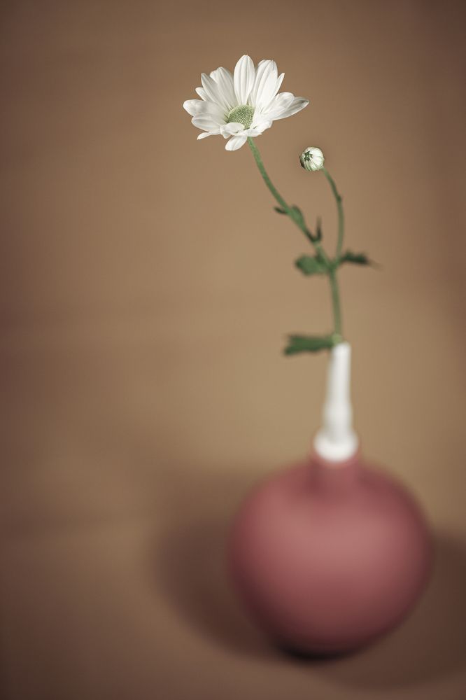 Photograph by Aleksey Ovcharov