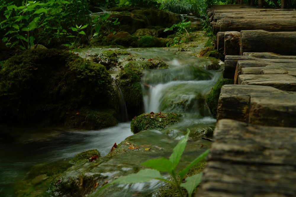Фотография автора Владимир Хащанский