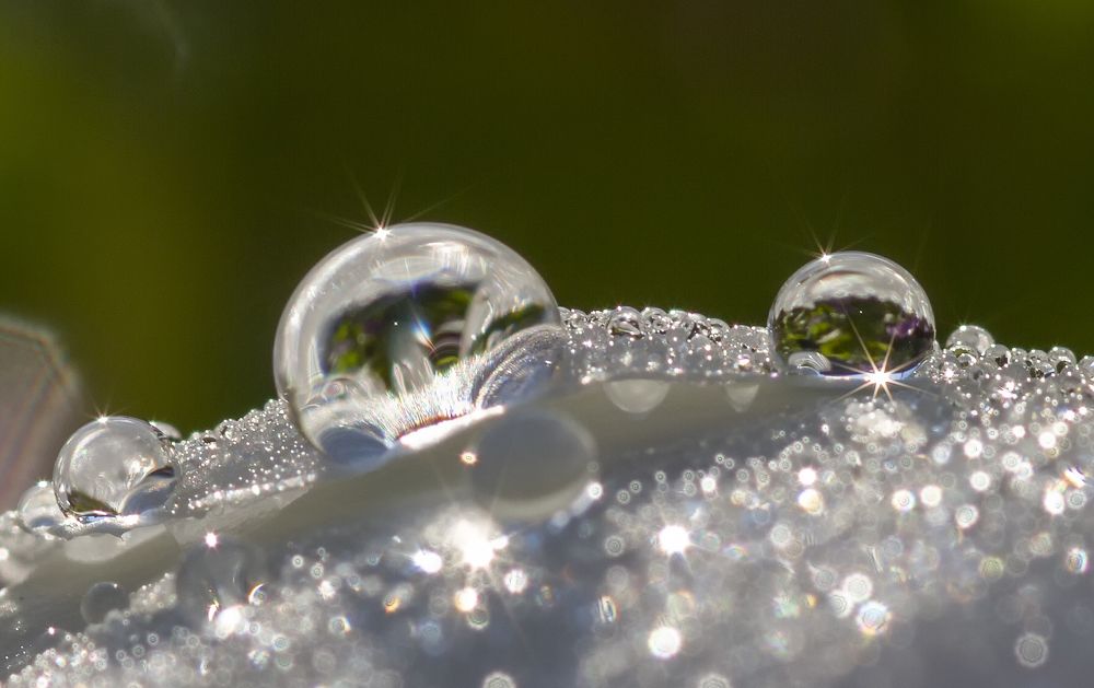 Россыпь осенних бриллиантов.