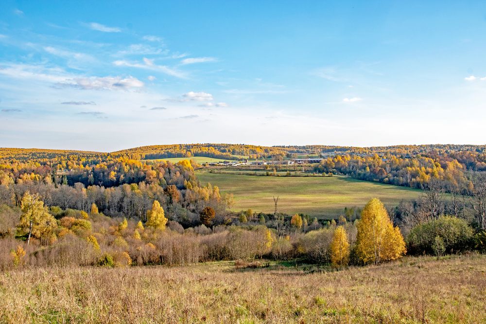 Подмосковные просторы.