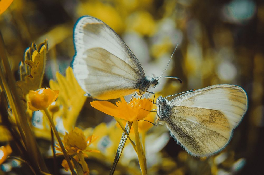 Photograph by Андрей Семенников