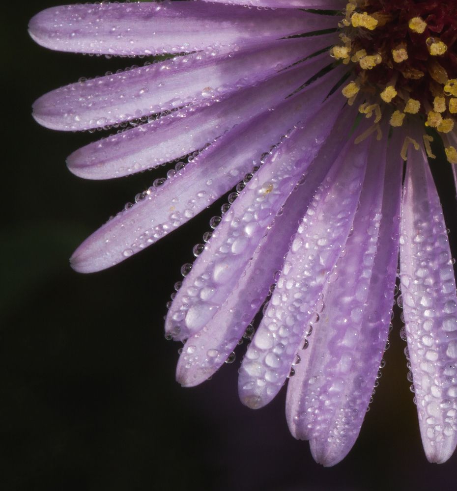 Photograph by ELENA VOLKOVA