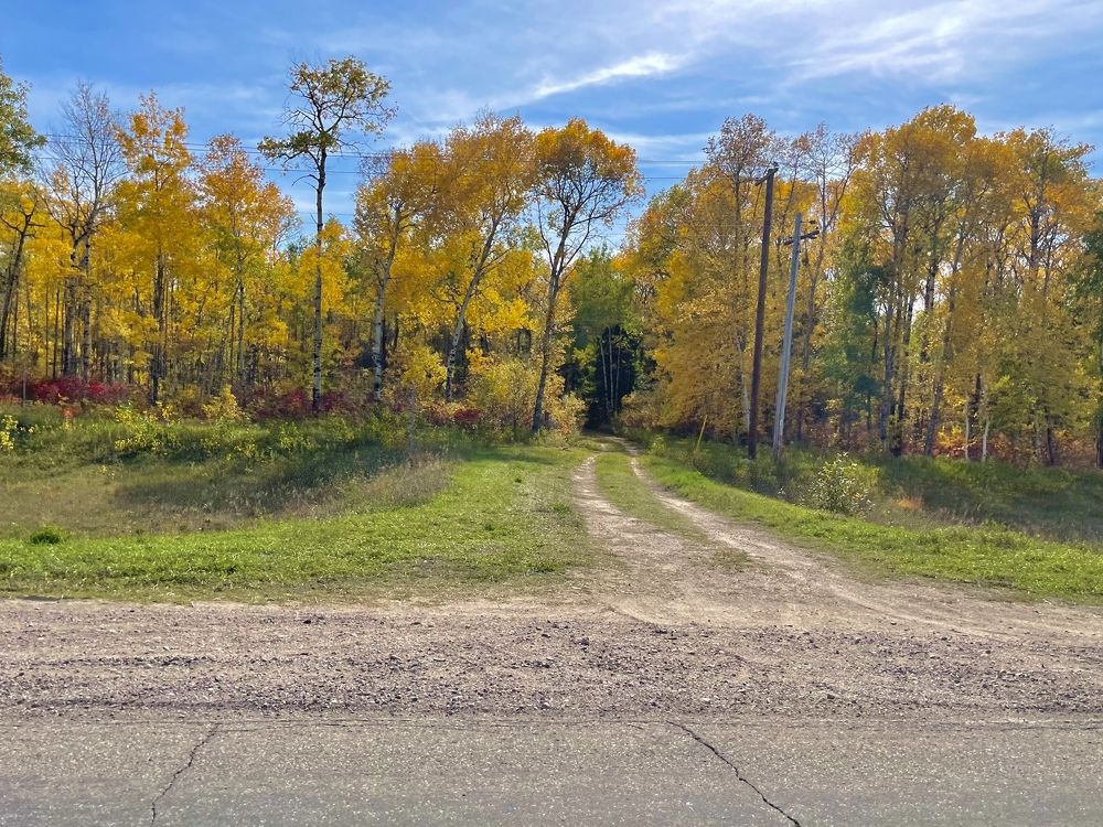 Photograph by Lindsay Panchuk