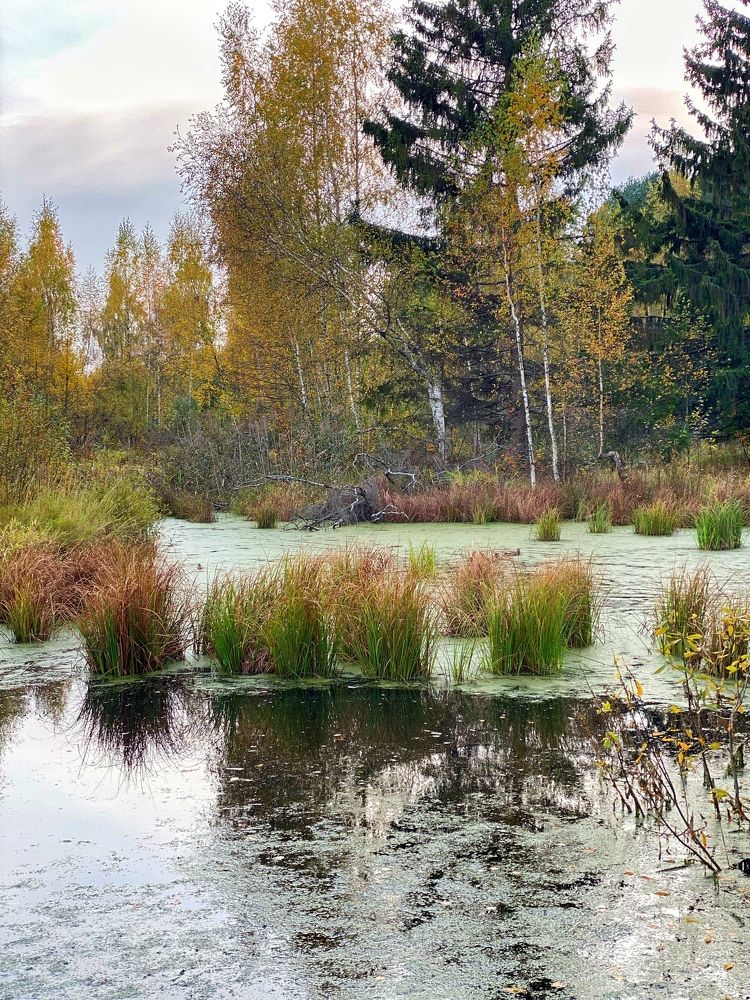 Photograph by Екатерина Амирасланова