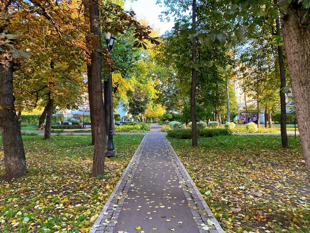 Осень в городе