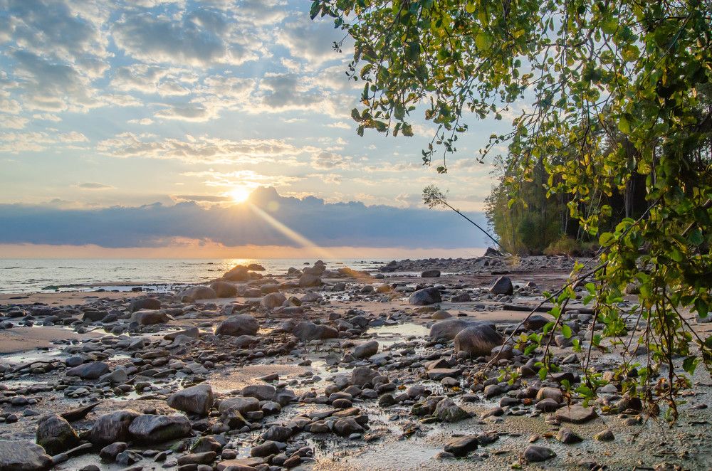 Photograph by Андрей