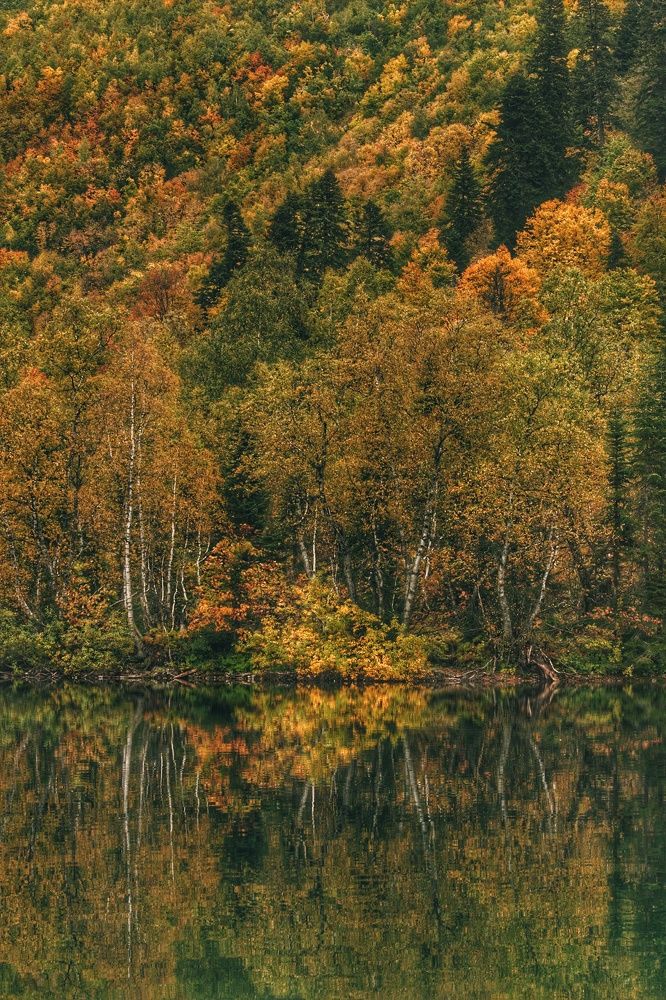 Photograph by Elijah Ishchenko