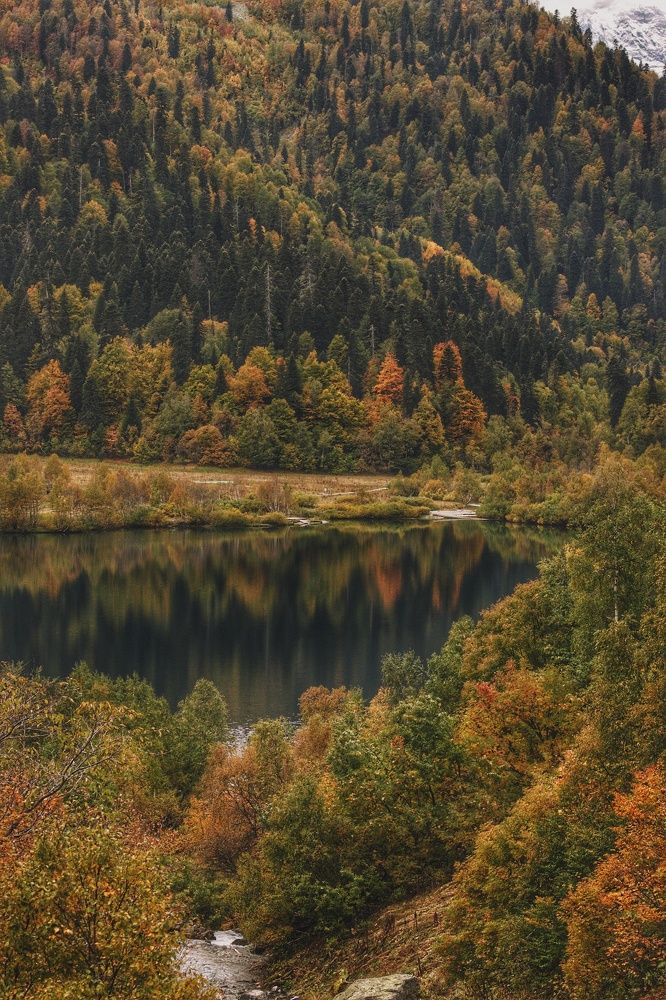 Photograph by Elijah Ishchenko