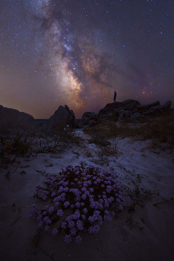 Photograph by raul fernandez