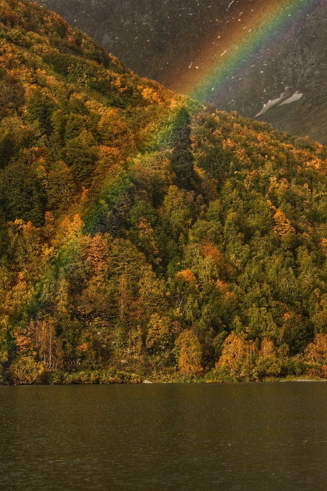 Photograph by Elijah Ishchenko