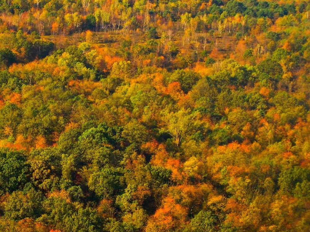 Photograph by Gotcha Biniashvili