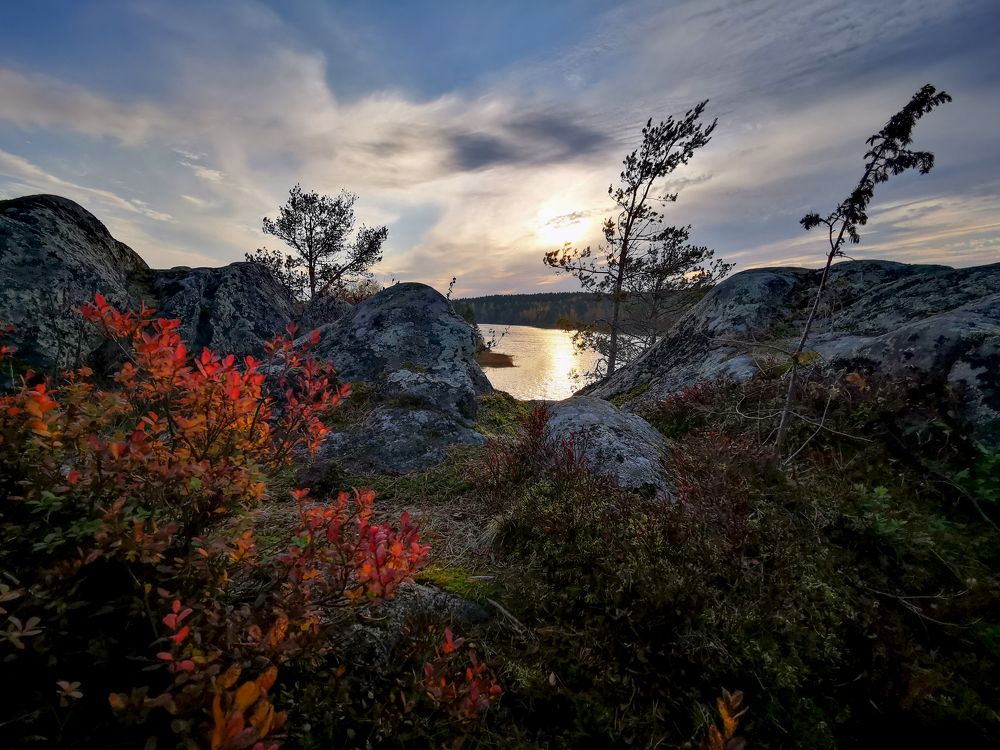 Photograph by Наталья Хачик