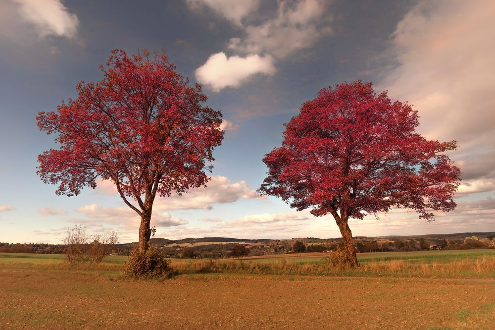 Photograph by Elena Gebert