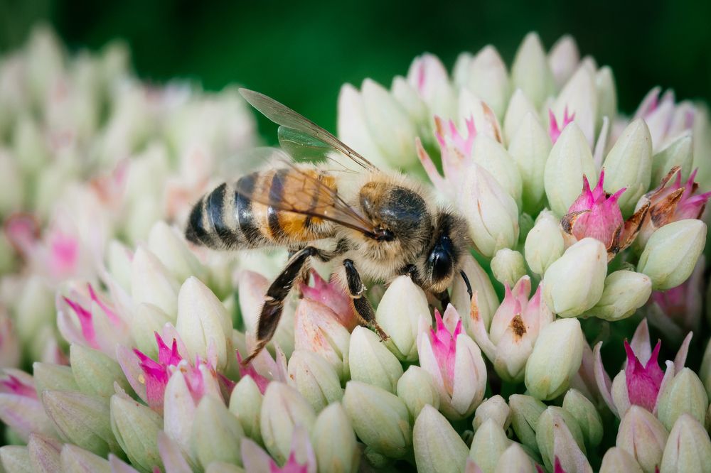 Photograph by Дмитрий Шудель