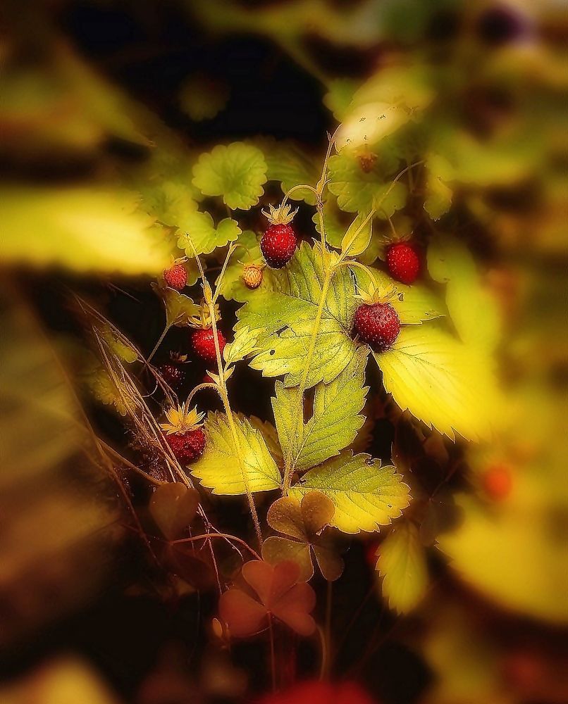 Photograph by Марк