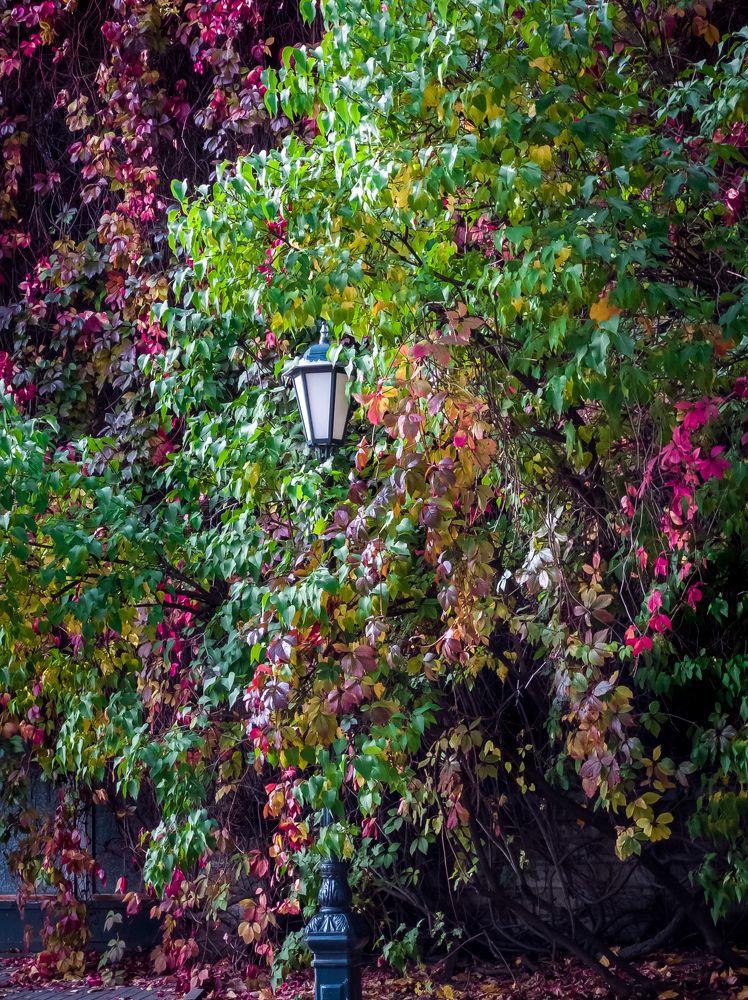 Photograph by Наталия Березина