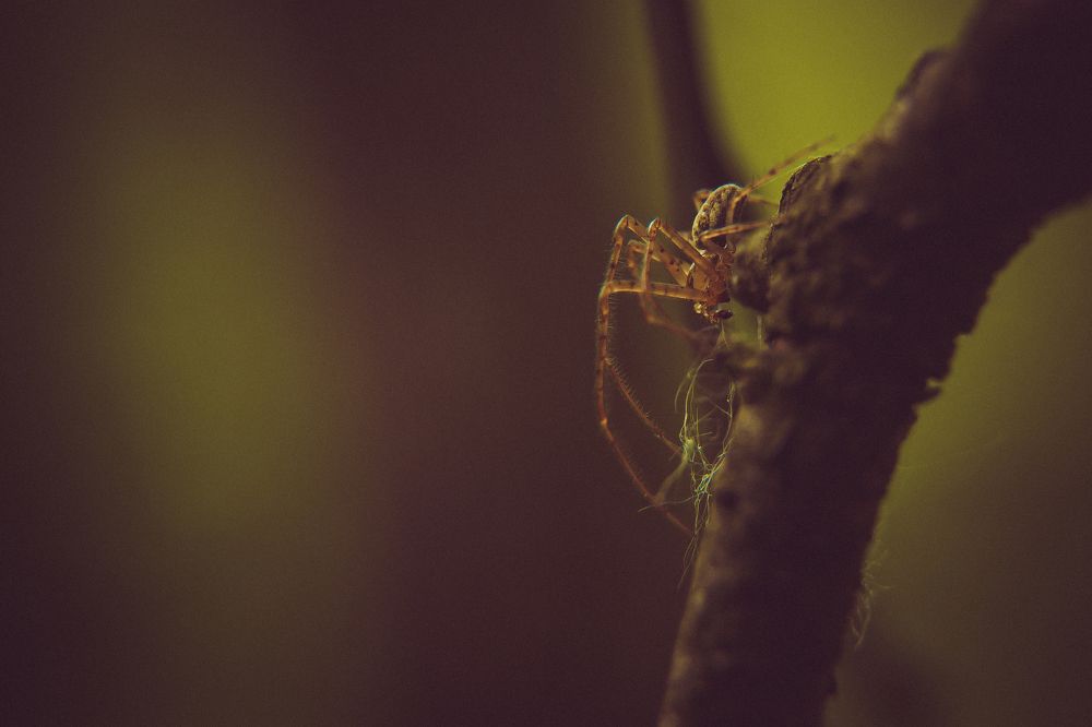 Photograph by Андрей Семенников