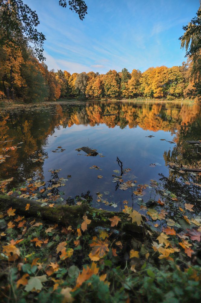 Photograph by TATIANA SHKUNDINA