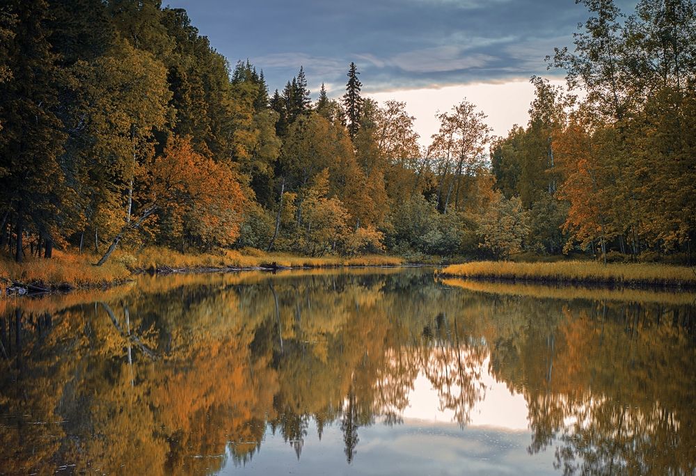 Фотография автора Виктория Шаманова