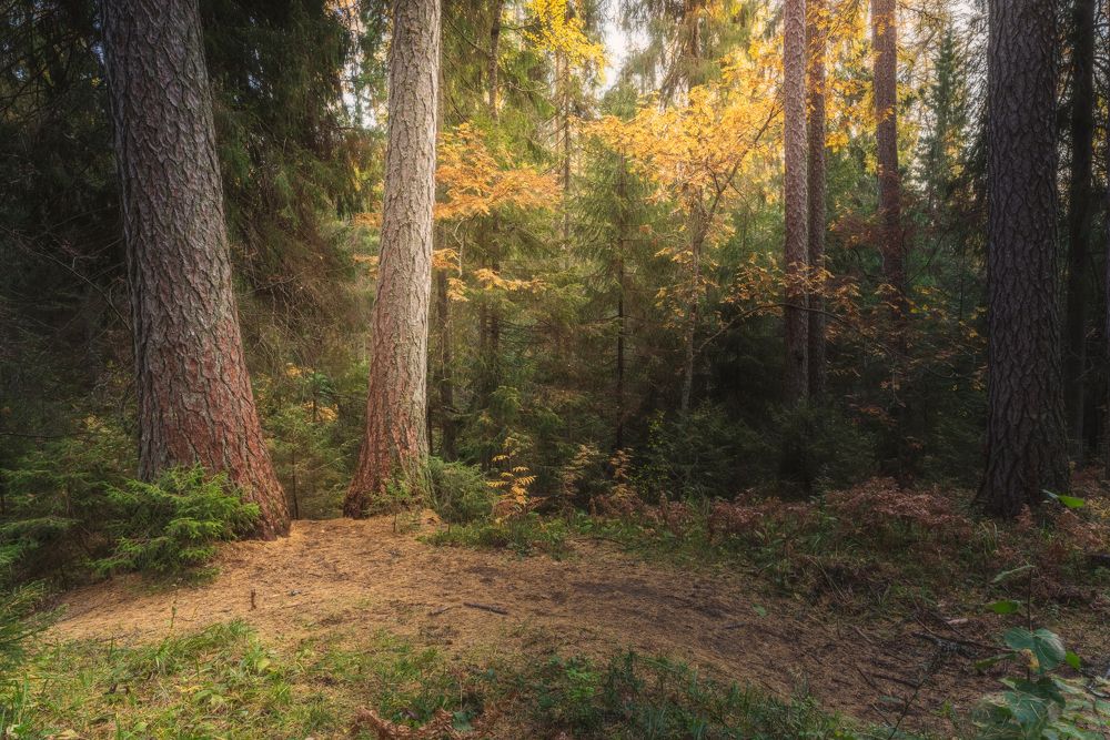 Photograph by Евгений Волосков