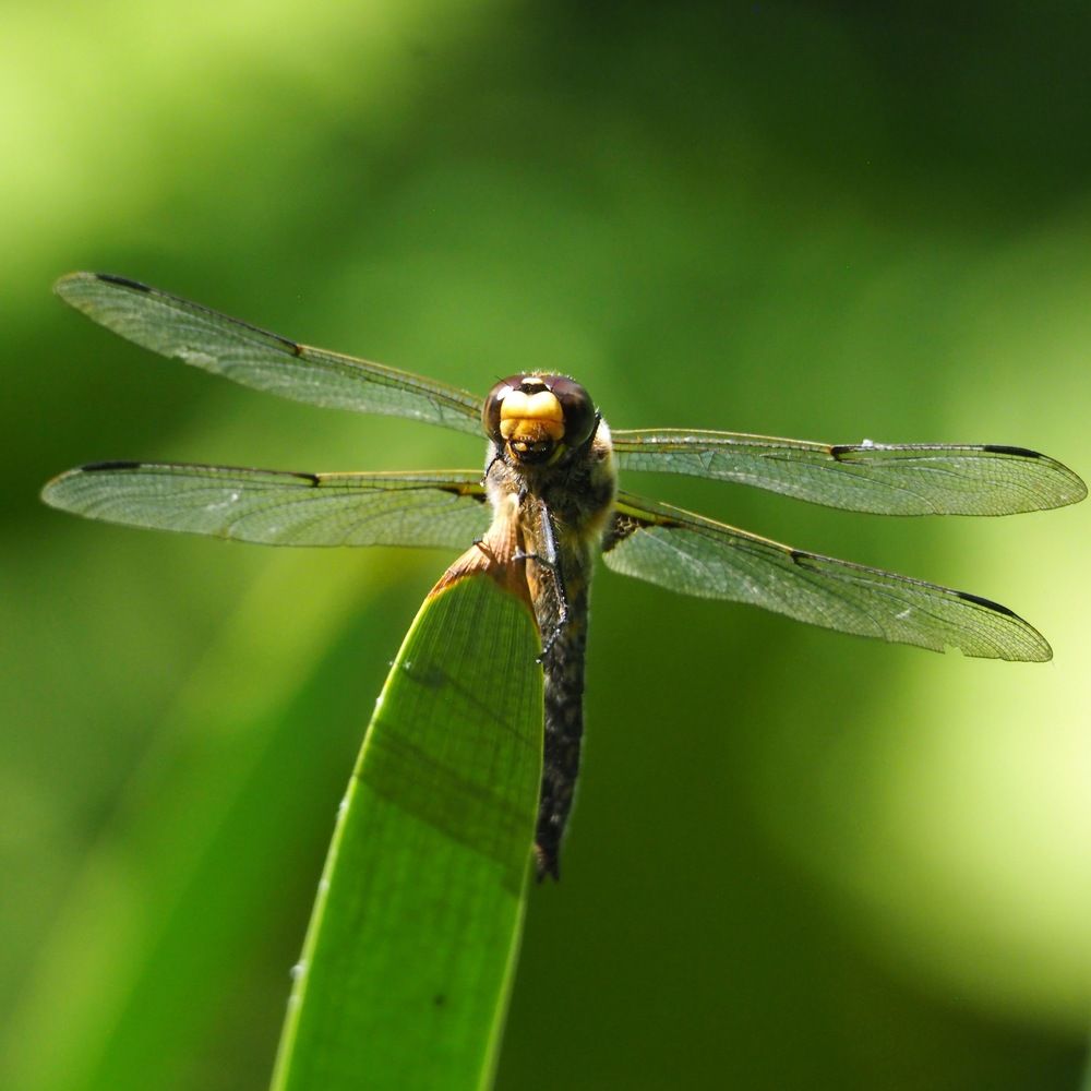 Photograph by Xeniya Kolosova