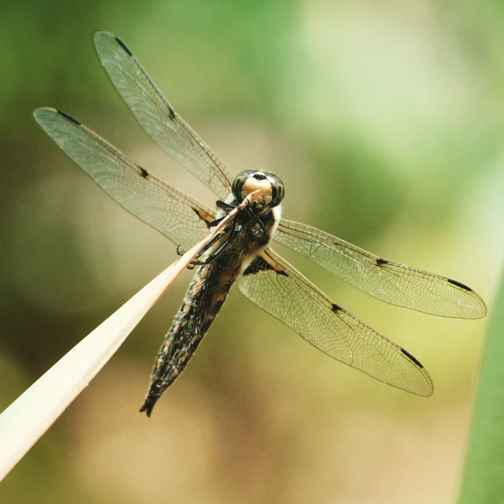 Photograph by Xeniya Kolosova