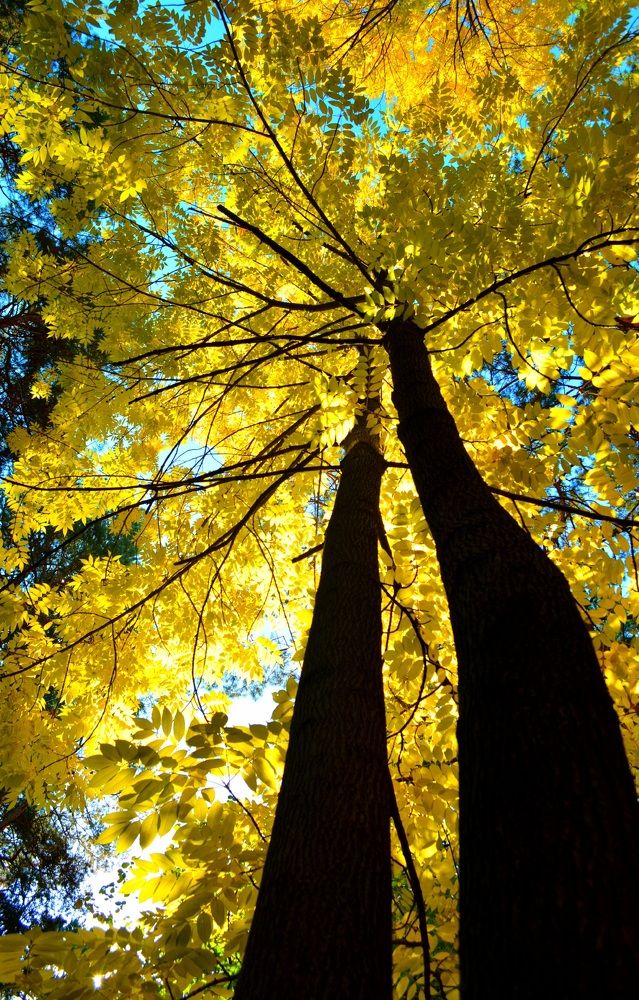 Photograph by Анна Иванова