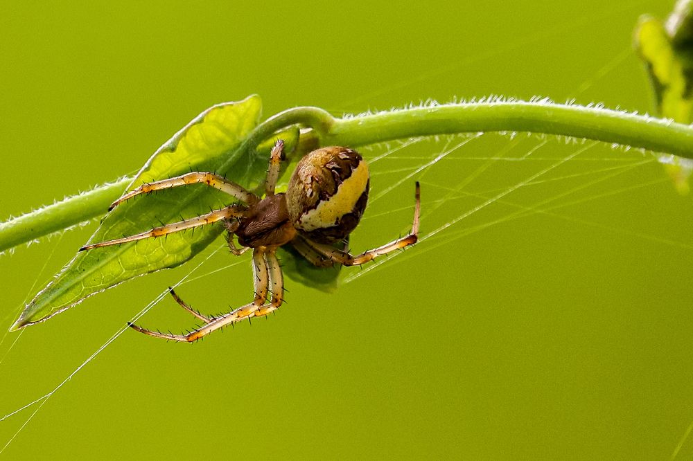 Photograph by Arkachanda Roy