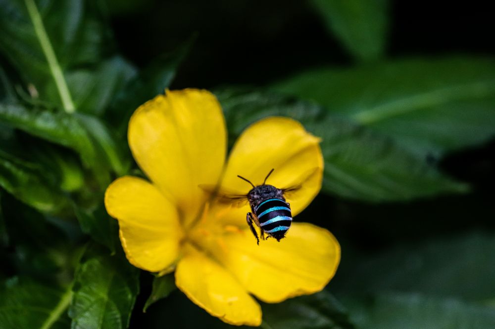 Photograph by Arkachanda Roy