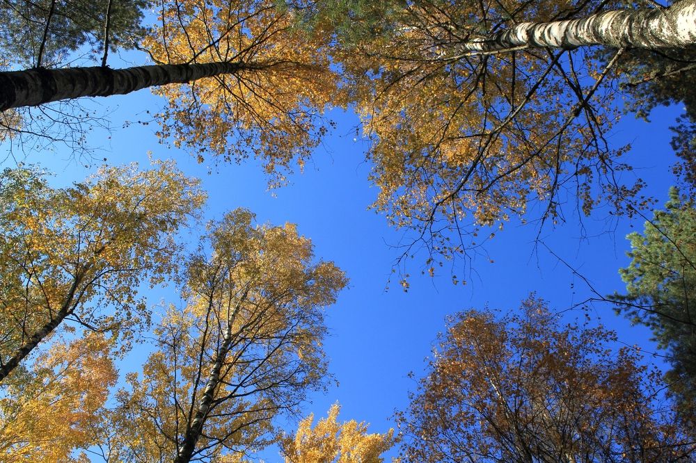 Photograph by Olga Bagaeva