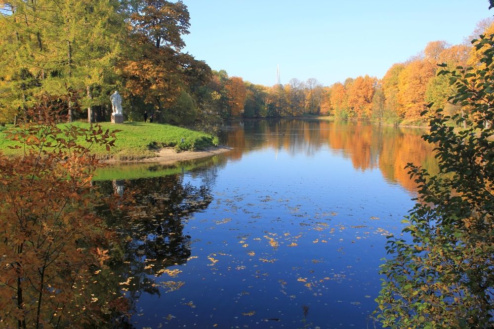 Яблоки Гесперид