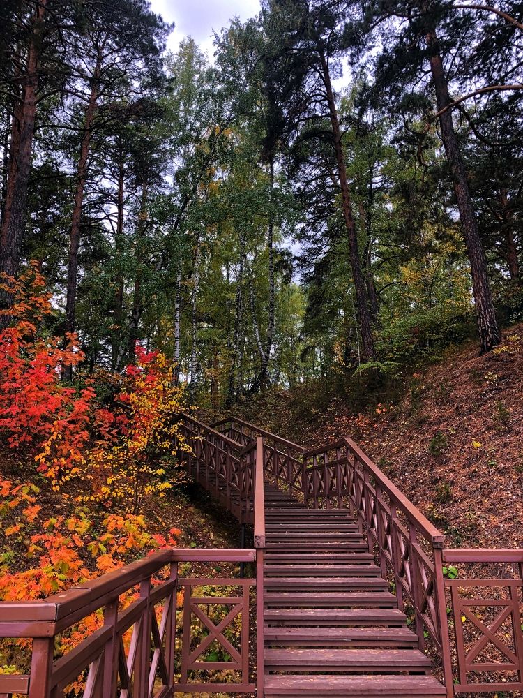 Photograph by Дарья Кудланова