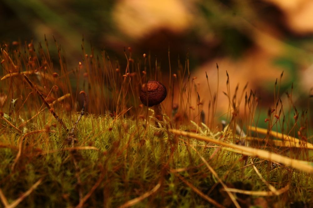 Photograph by Анна Рогачева