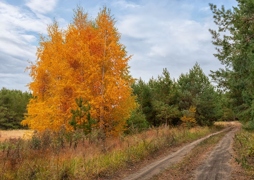 Photograph by Олег Белан