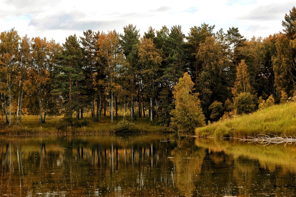Photograph by Надежда Тарасенко