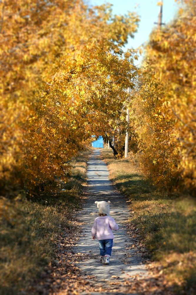 Photograph by Надежда Тарасенко