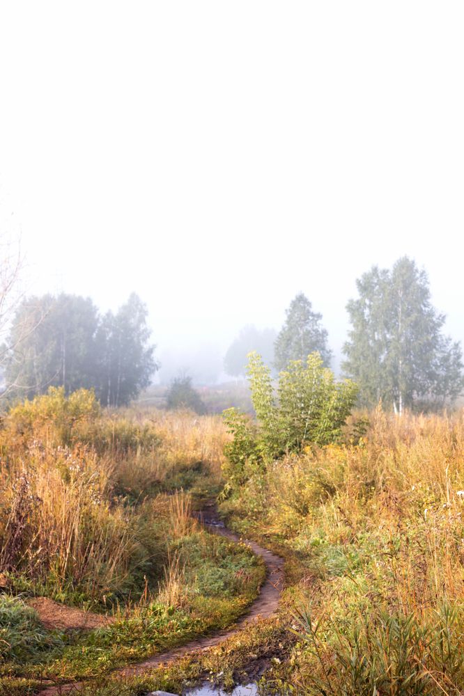 Photograph by Надежда Тарасенко