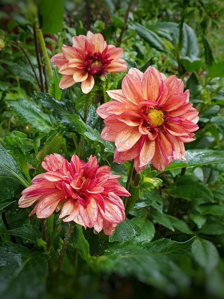 Photograph by Татьяна Мельникова