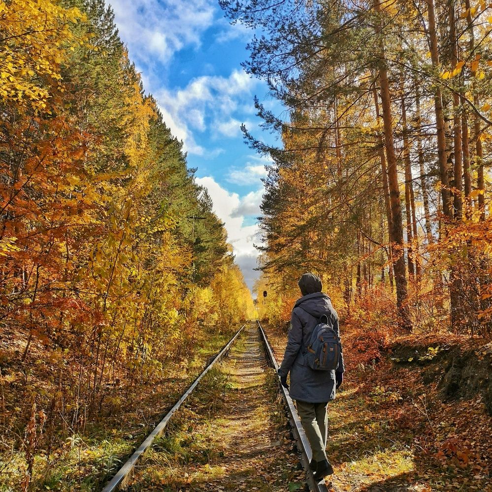Фотография автора Елена Герасимова