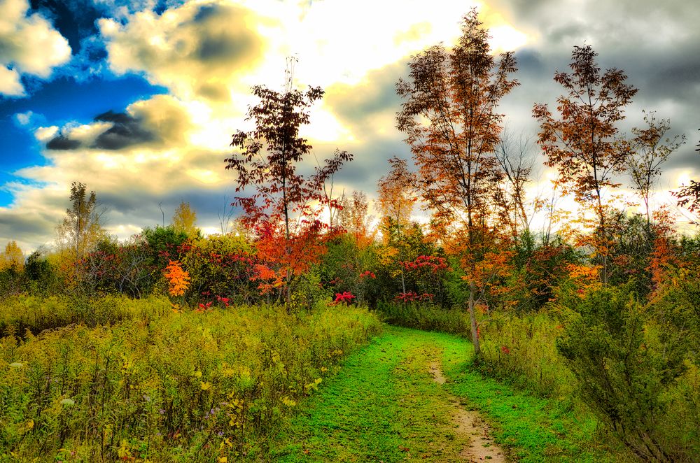 Autumn at Trent University Area