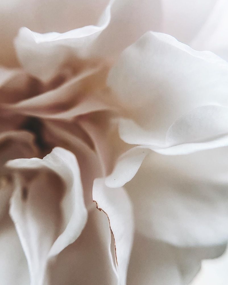 Фотография автора Виктория Калганова