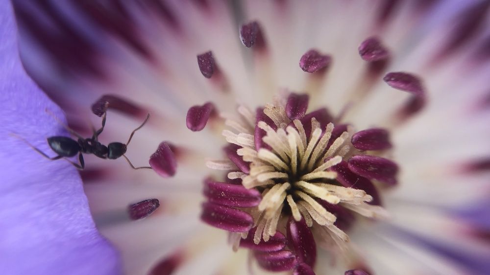 Фотография автора Виктория Калганова