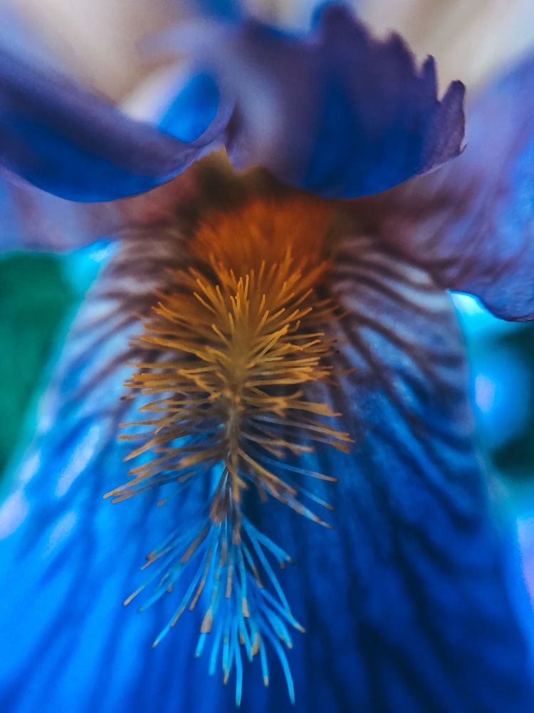 Фотография автора Виктория Калганова